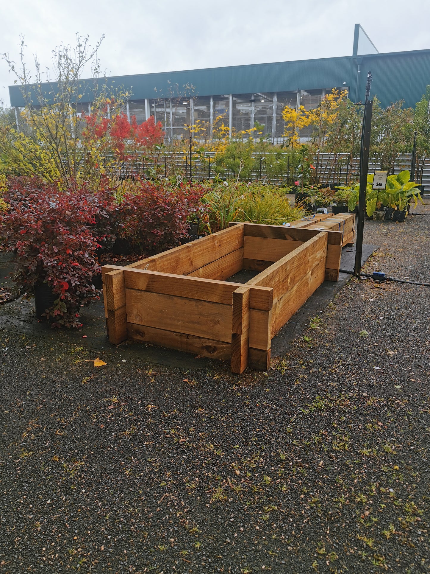 Planter Boxes