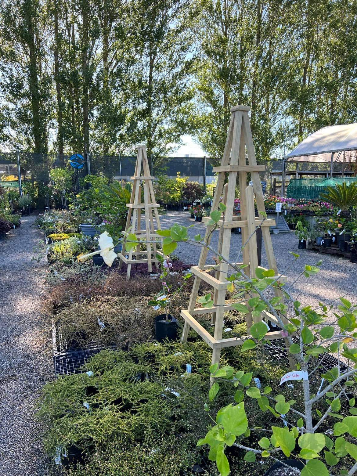 Garden Obelisk