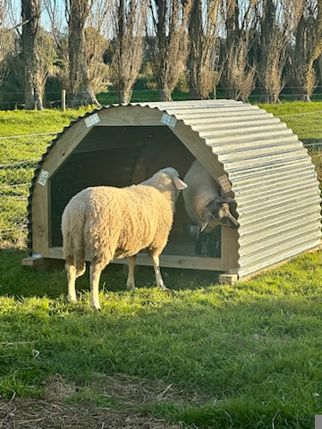 Small Shed (Pig Sty, Goat Shed or Dog Kennel)