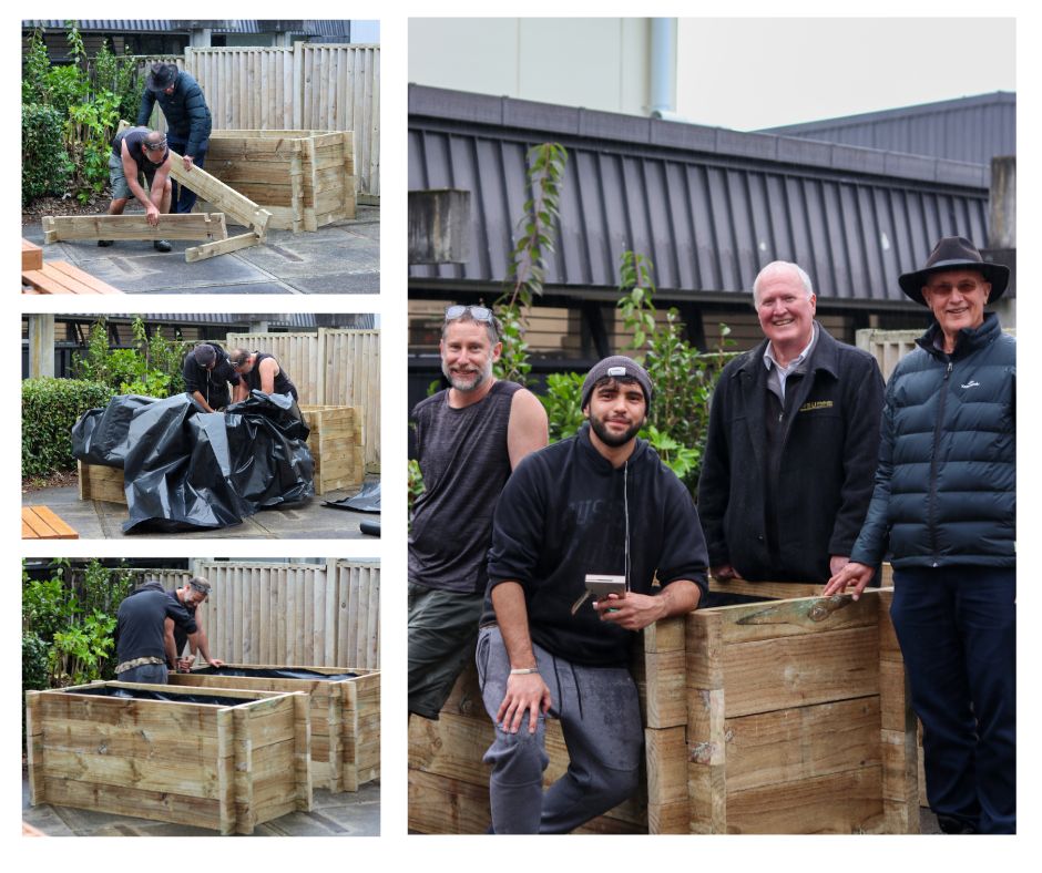 Planter Boxes