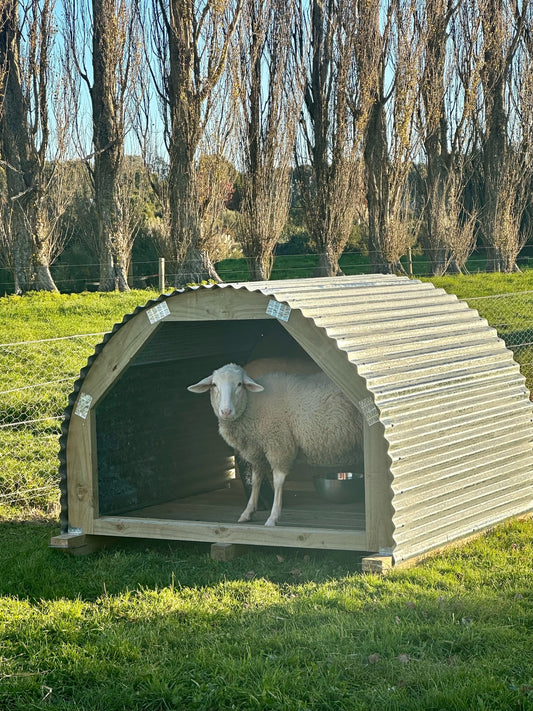 Pig Sty, Goat Shed or Dog Kennel