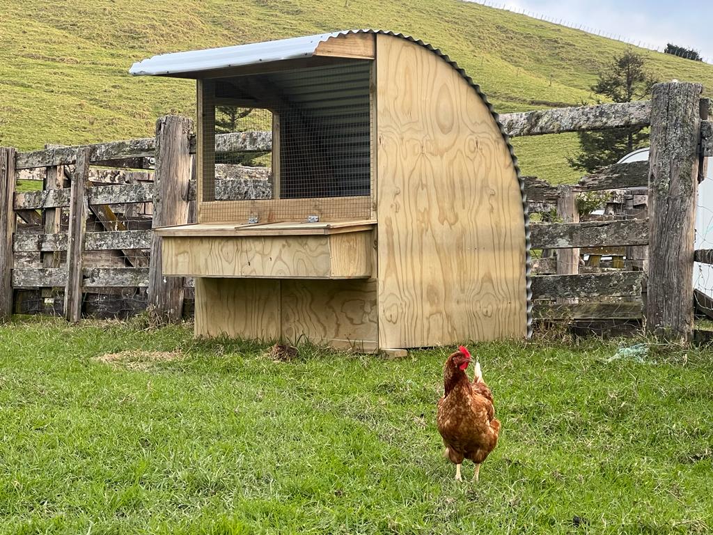 Hen House - 9 hen max – Peter & Son NZ