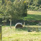 Animal shelter for sale in NZ | suitable for large dogs, pigs, lambs and calves | Round wooden shelter with corrugate iron roof resting on pine skids in a green pasture | For sale in Auckland, Waikato and the North Island New Zeland