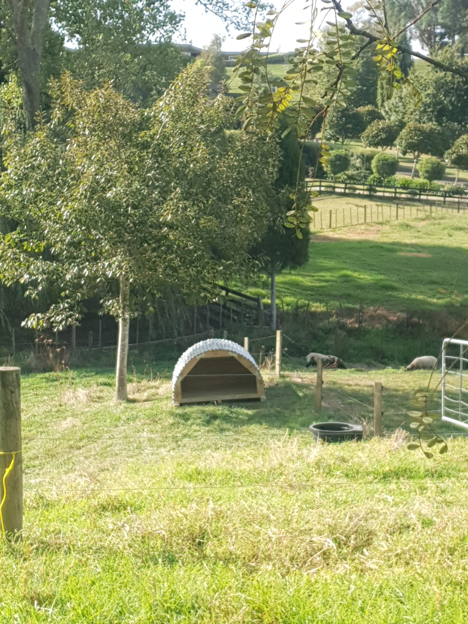 Animal shelter for sale in NZ | suitable for large dogs, pigs, lambs and calves | Round wooden shelter with corrugate iron roof resting on pine skids in a green pasture | For sale in Auckland, Waikato and the North Island New Zeland