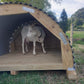 Animal shelter for sale in NZ | suitable for large dogs, pigs, lambs and calves | Goat inside a round wooden shelter with corrugate iron roof resting on pine skids in a green pasture | For sale in Auckland, Waikato and the North Island New Zeland